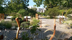 freundschaftsinsel1